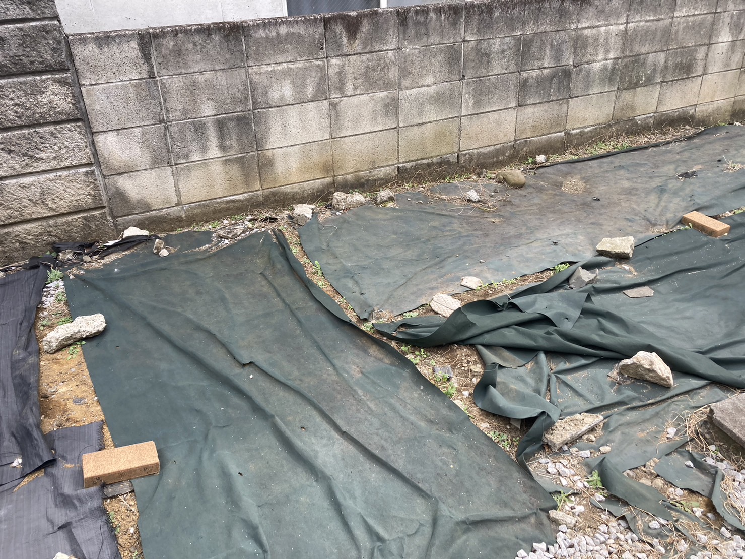 weed-control-sheet-before