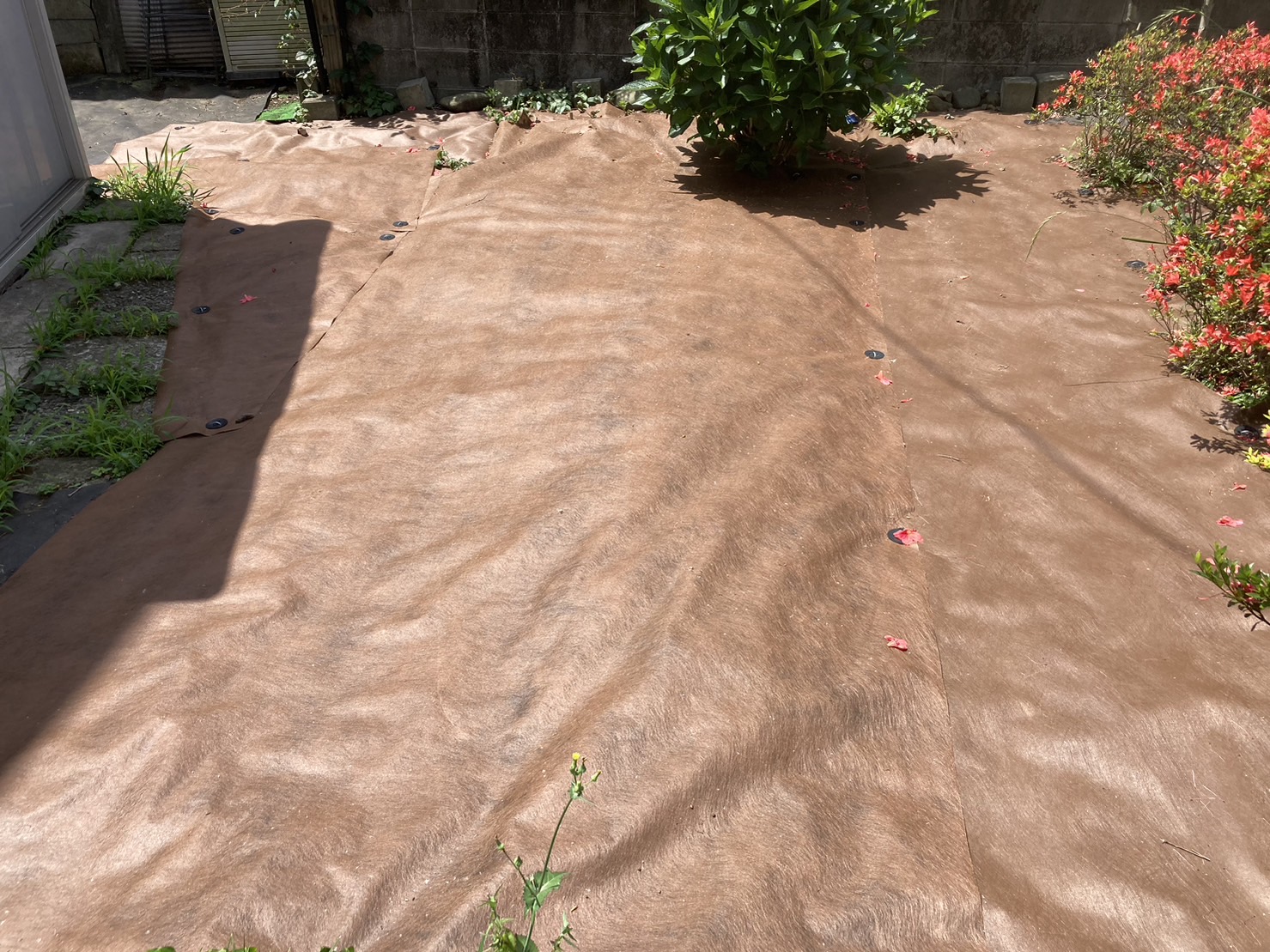 weed-control-sheets-ten-month-after