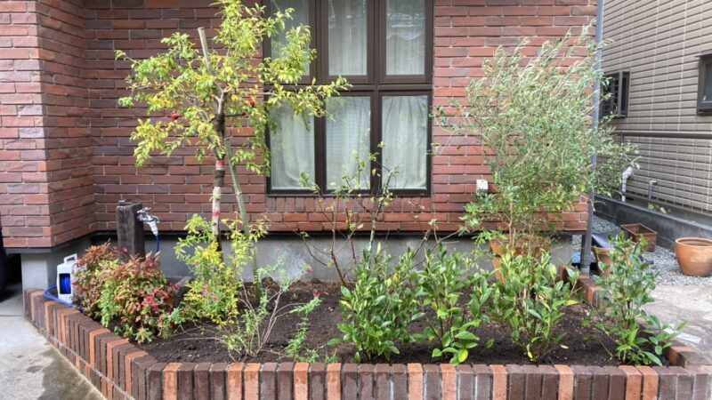 世田谷区で花壇内に植えた低木類の植栽事例