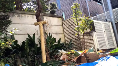 【世田谷区】ハナモモの頬杖支柱設置-ハナモモが風で揺れているため倒木防止の支柱設置事例