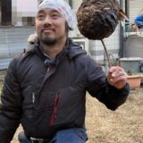 世田谷区弦巻で剪定予定の金木犀にスズメバチの巣がありました