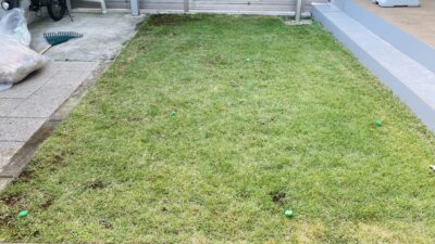 【世田谷区】6月の芝生の管理作業、15㎡ほど芝