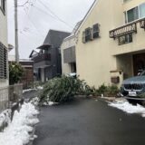 世田谷区で剪定が必要な理由｜雨量が多い地域だからこそ対策を！