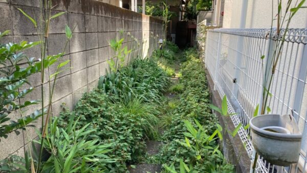 【杉並区善福寺】家の購入者に印象を良くしてもらいたいので草刈りを依頼