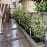 横浜市の庭に合う中高木の常緑樹｜選び方とおすすめ9選