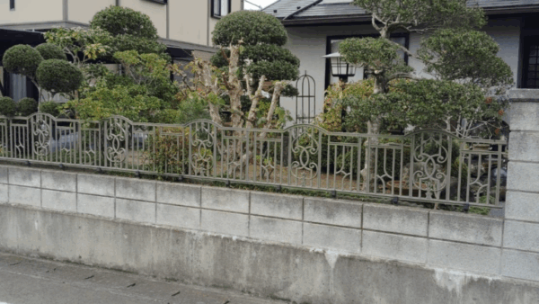 【仙台市若林区】綺麗にツゲやマキを刈り込んでくれる人を探していた