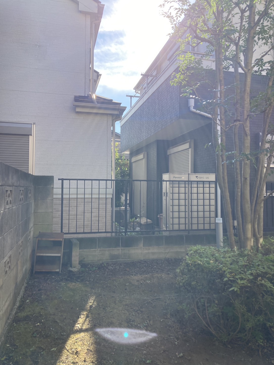 横浜市のトキワマンサクの伐採後
