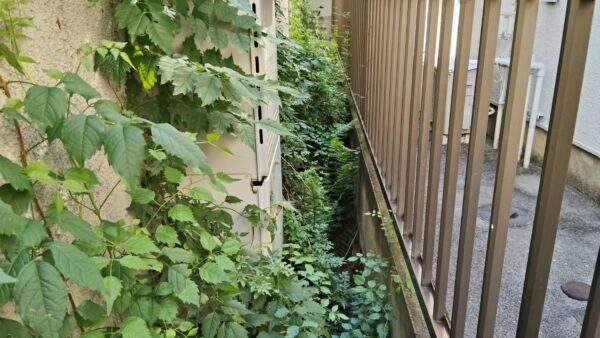 横浜市で除草・草むしり｜雑草対策と料金事例