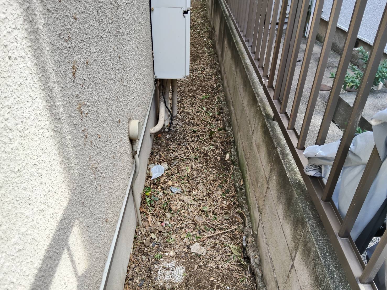 横浜市の除草後
