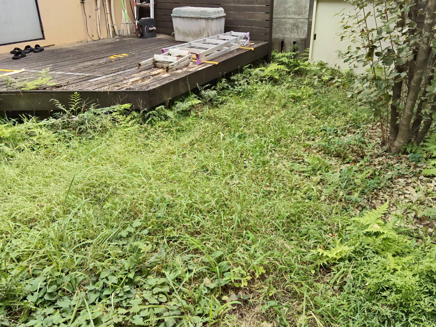 青葉区つつじが丘で除草と防草シート施工前