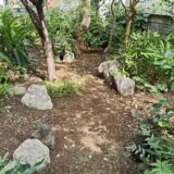 【神奈川県横浜市】大量に生える雑草を除草しました