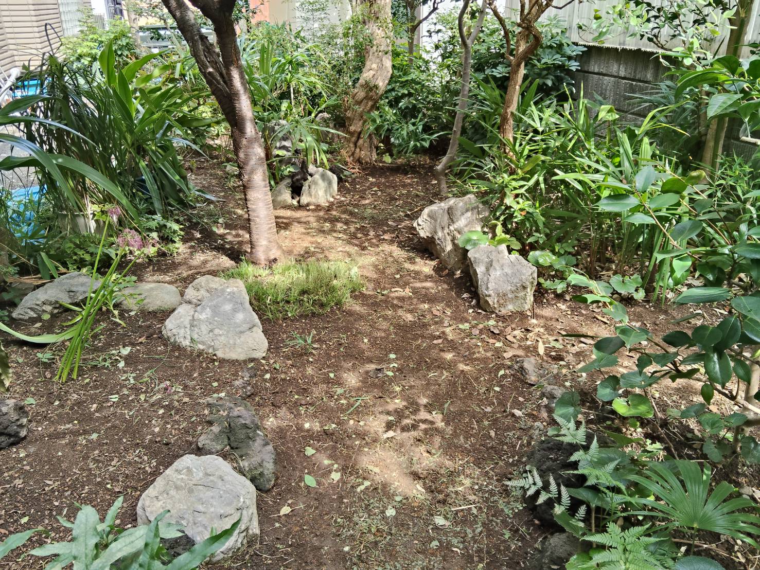 【神奈川県大和市】大量に生える雑草を除草しました