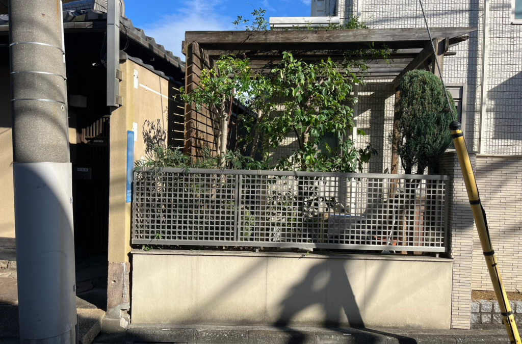 横浜市のヤマボウシの剪定後