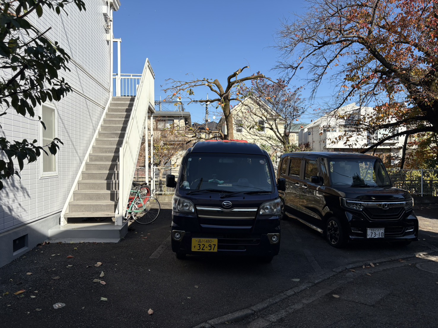 横浜市青葉区の柿の剪定後